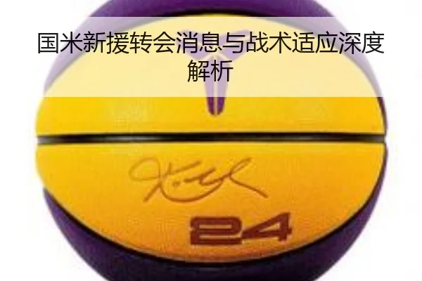 国米新援转会消息与战术适应深度解析